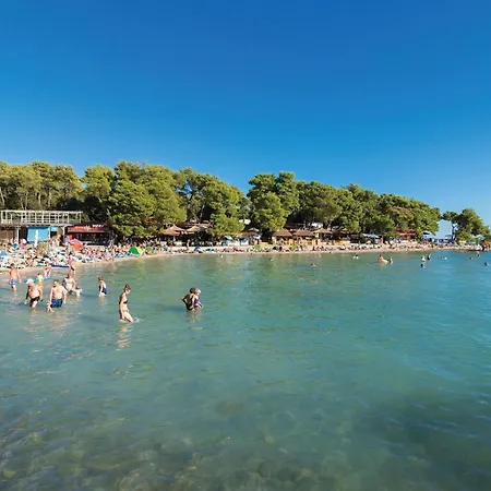 1 Bedroom Lovely In شقة *